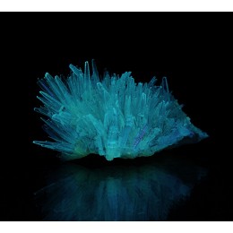 Aragonite (fluorescent) Eugui M04422
